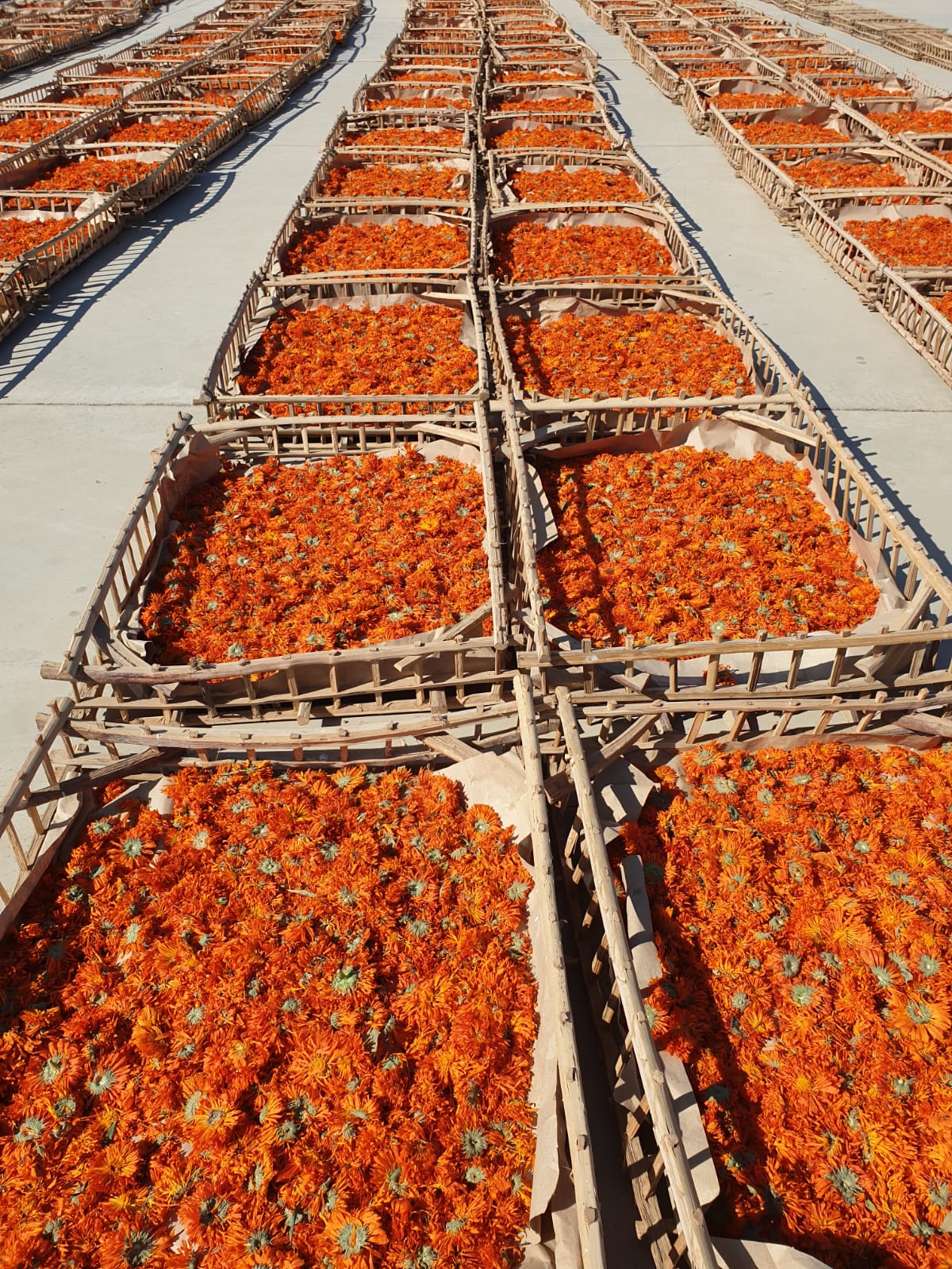 showing our real work